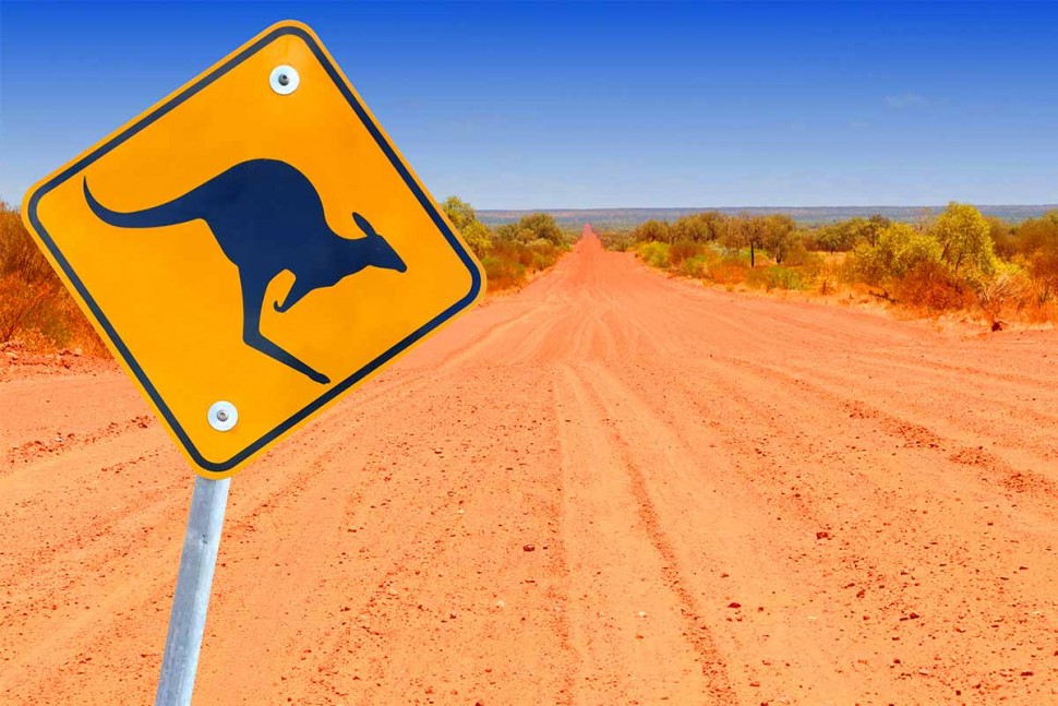 Outback Driving Safety: Aka Avoid That Roo! | Door to Door Car Carrying | Brisbane