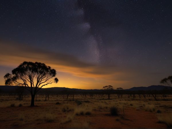 The Australian outback on a very starlit night